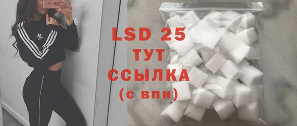 PSILOCYBIN Аркадак