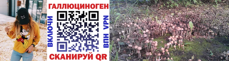 Галлюциногенные грибы мухоморы  Торжок 
